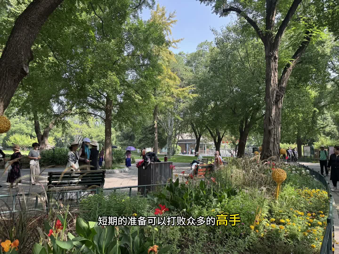 视频截图