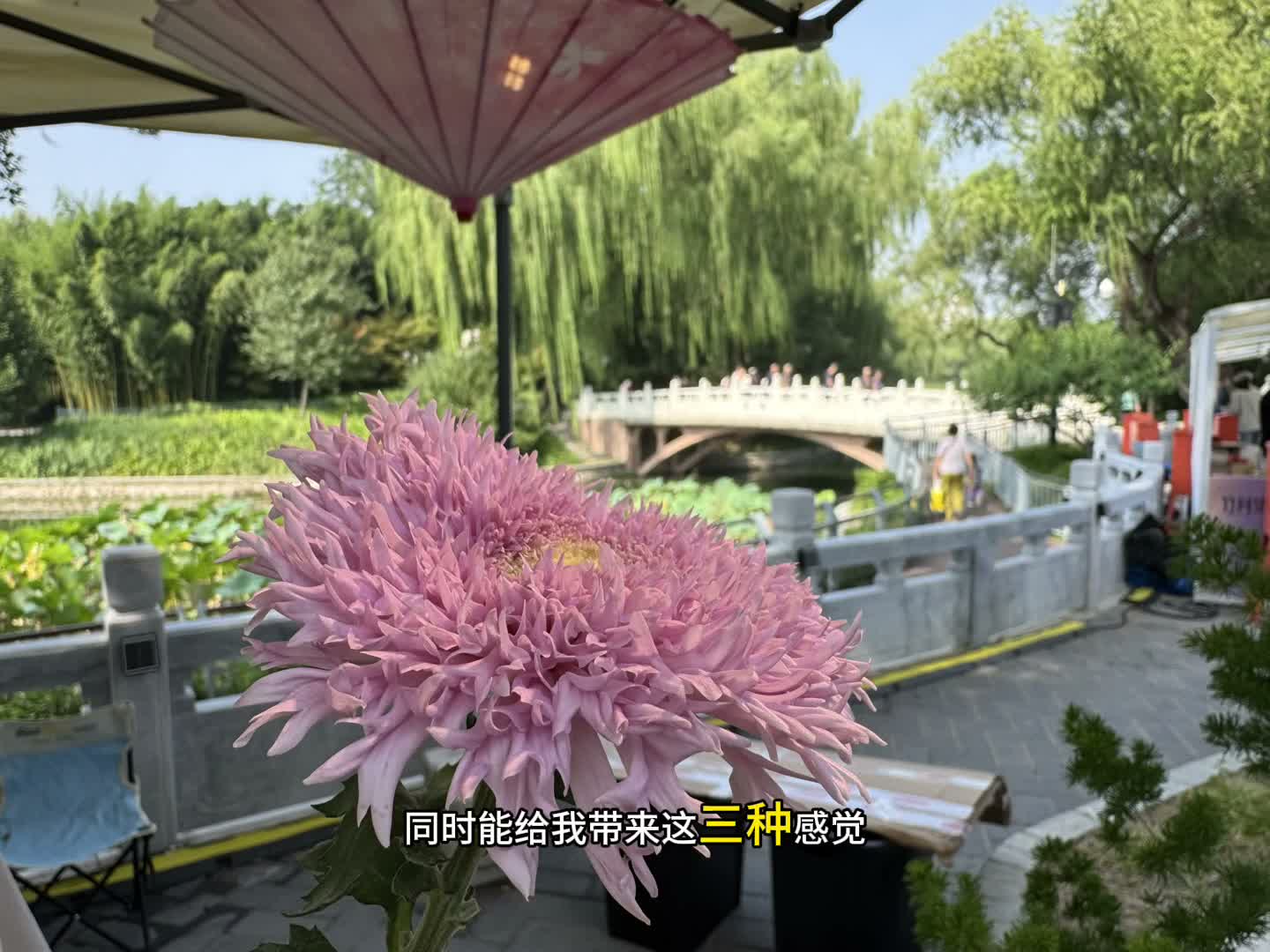 视频截图