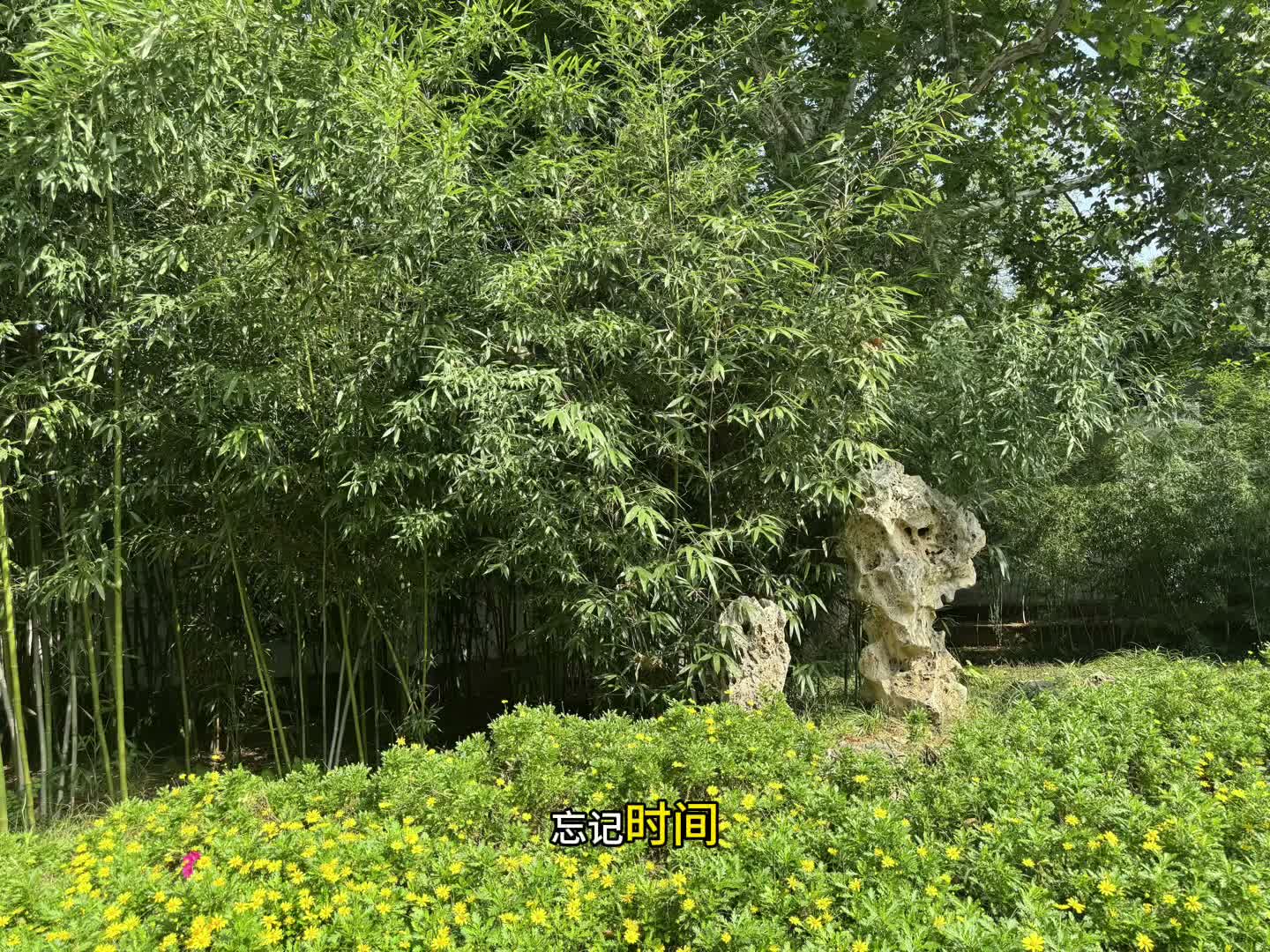 视频截图